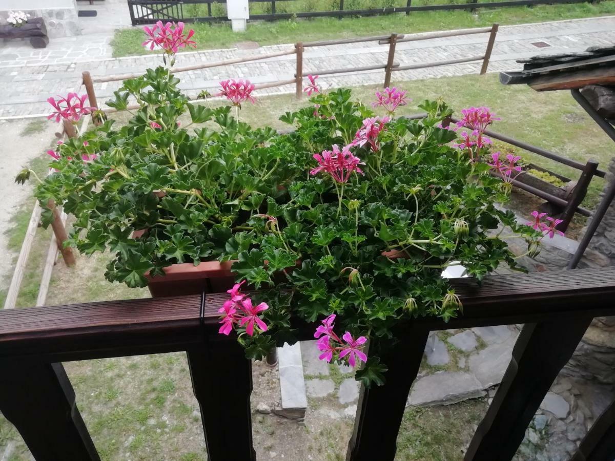 Maison Cenne Vda Gressan N 0030 Dış mekan fotoğraf