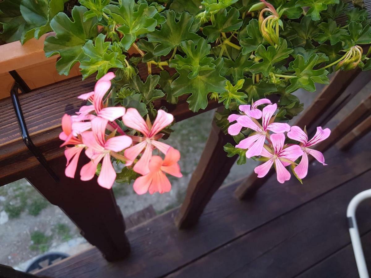 Maison Cenne Vda Gressan N 0030 Dış mekan fotoğraf